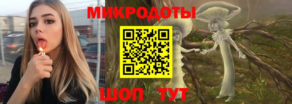 Псилоцибиновые грибы Psilocybe Артём
