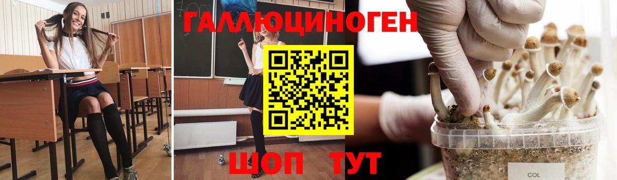 купить наркоту  Вход с VPN  Артём  Галлюциногенные грибы GOLDEN TEACHER 